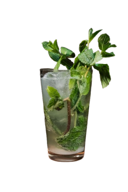 MOJITO