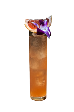 PANTERA ROSA